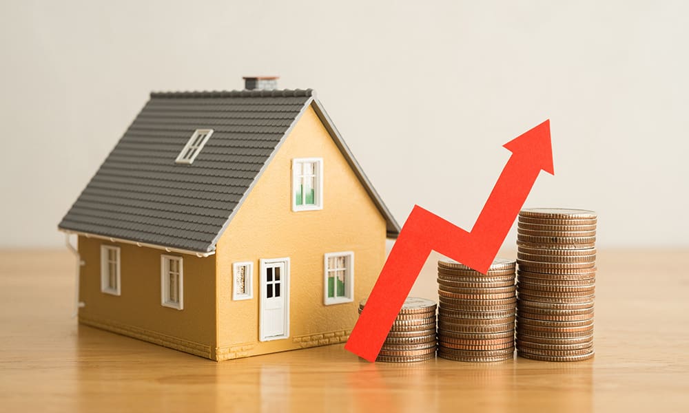 Blog - Save Money This Tax Season