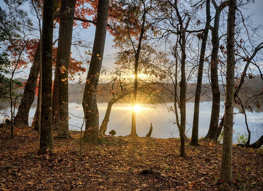 Garner, NC - Scenic View of Trees Next to a Lake at Sunset During the Fall in Garner North Carolina