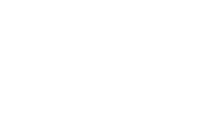 ACF Insurance Services Inc - Logo 800 White
